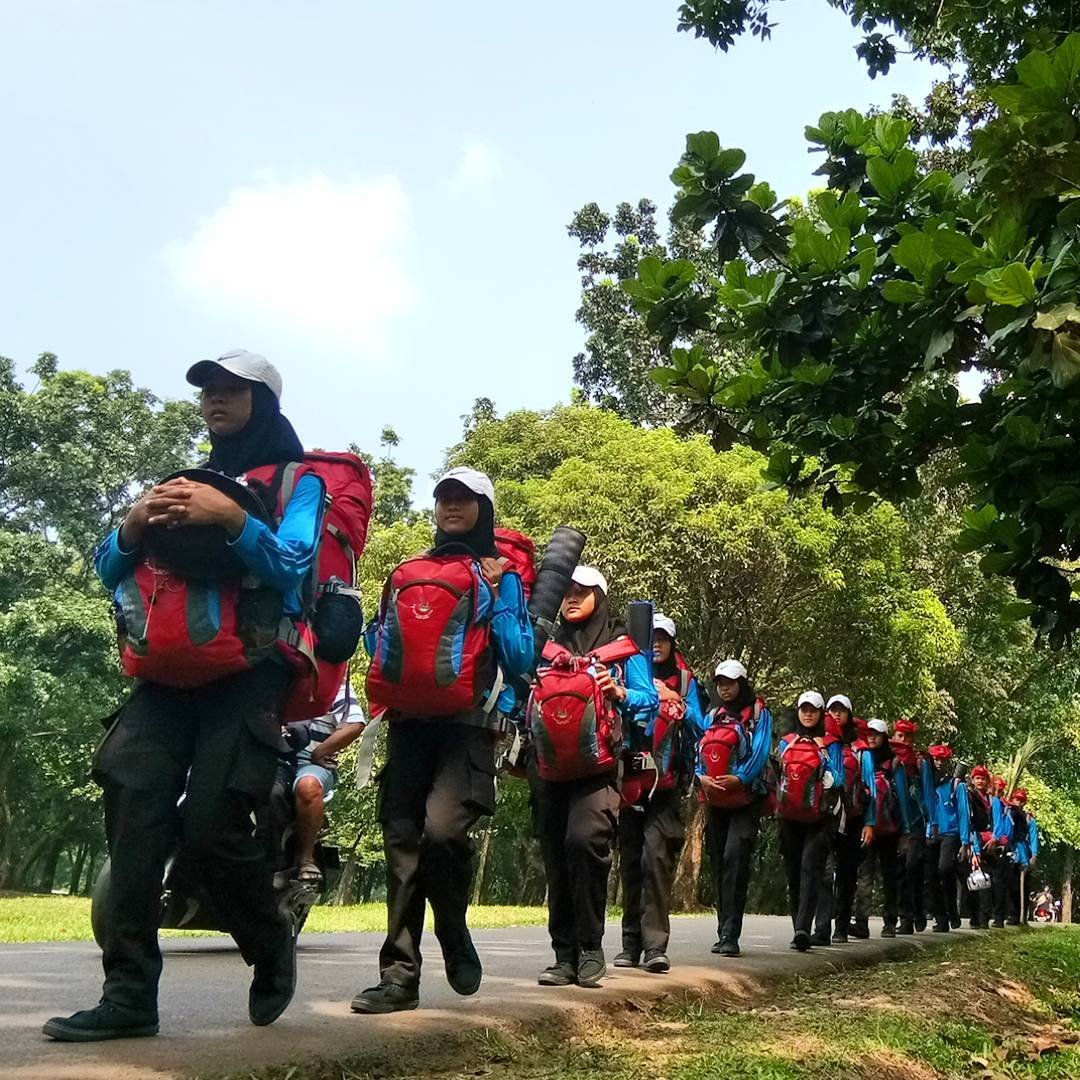 pengertian pramuka penggalang dan asal muasal kata penggalang