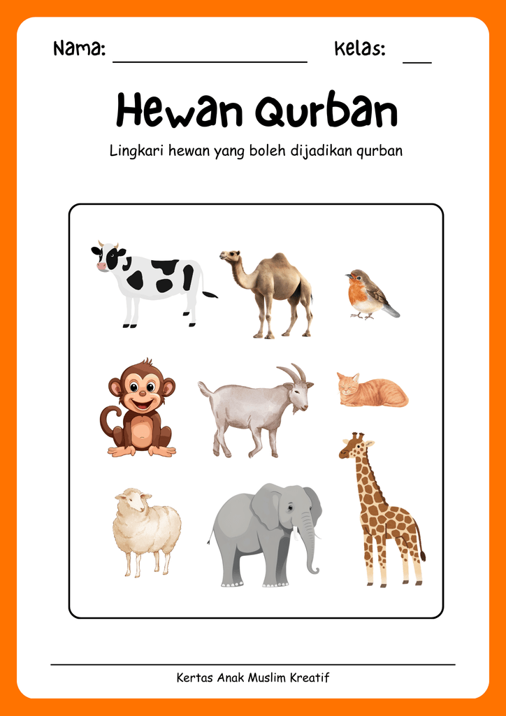 hewan qurban